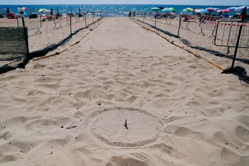 Crowded Rome beach awaits baby turtle hatching