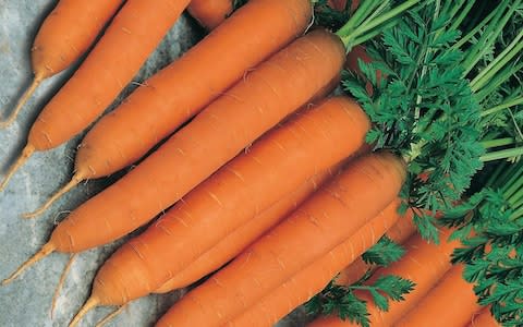 carrots - Credit: Mr Fothergill’s