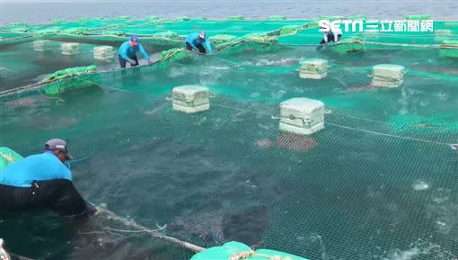 劉天和所養殖的魚就在澎湖外海。（圖／記者花芸曦攝影）