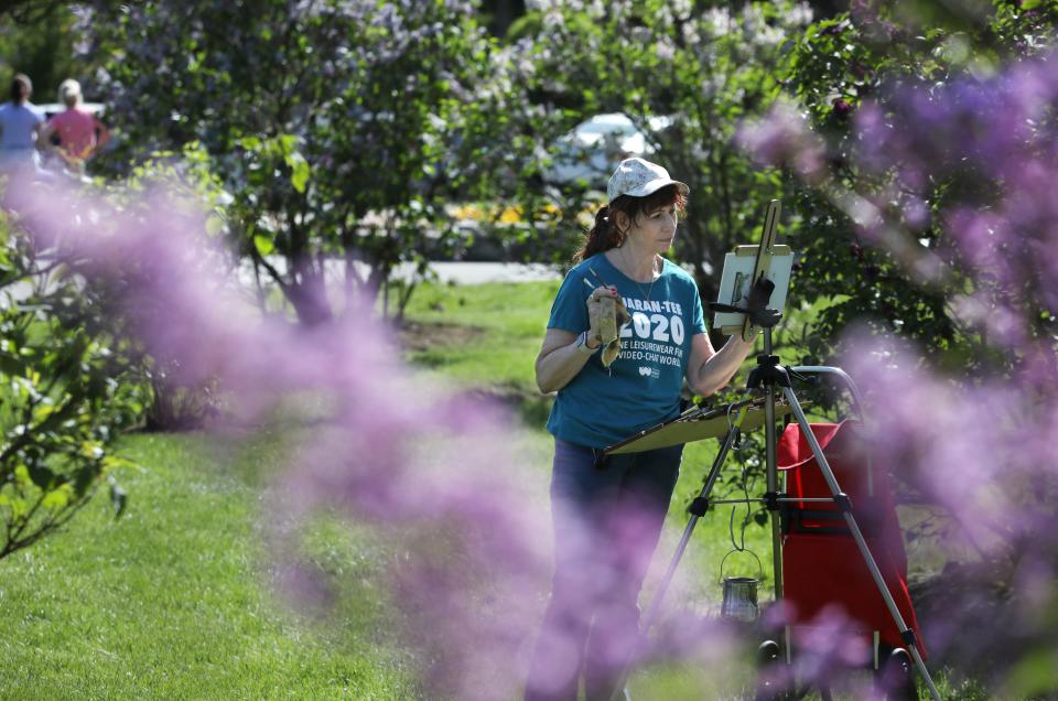 Surrounded by lilacs in full bloom, artist Paula Rogala works on her oil painting as members of the Greater Rochester Plein Art Painters artistically capture the scene of blooming lilacs around Highland Park in Rochester Tuesday, May 7, 2024.