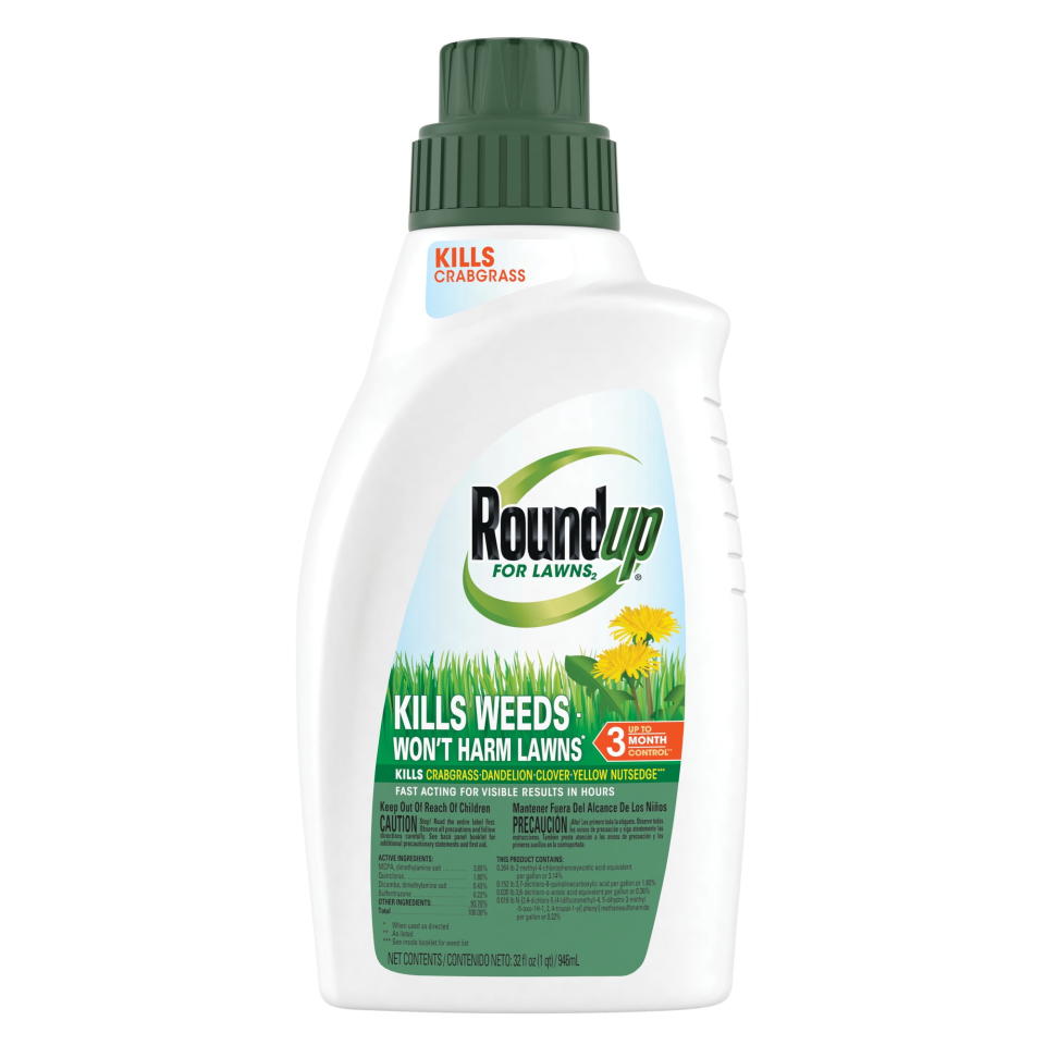 <p><a href="https://go.redirectingat.com?id=74968X1596630&url=https%3A%2F%2Fwww.walmart.com%2Fip%2FRoundup-For-Lawns2-Concentrate-Northern-Weed-Killer-32-oz%2F941229122&sref=https%3A%2F%2Fwww.popularmechanics.com%2Fhome%2Flawn-garden%2Fg39463175%2Fbest-weed-killers%2F" rel="nofollow noopener" target="_blank" data-ylk="slk:Shop Now;elm:context_link;itc:0;sec:content-canvas" class="link ">Shop Now</a></p><p>Concentrate for Lawns</p><p>walmart.com</p><p>$20.46</p>