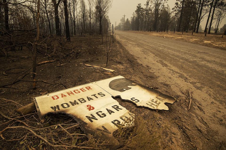 Destruction from the Currowan fire on Tallowa Dam Rd. in Kangaroo Valley on Jan. 5. 