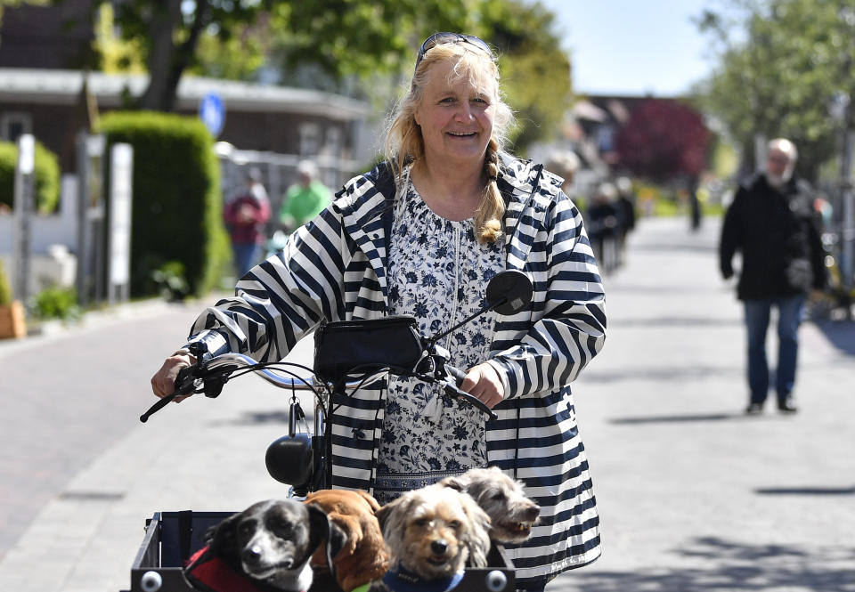 In this photo taken on Wednesday, May 15, 2019, Susanne Hasenpflug takes dogs on a tour on her bicycle on the car-free environmental island of Langeoog in the North Sea, Germany. Concerns about climate change have prompted mass protests across Europe for the past year and are expected to draw tens of thousands onto the streets again Friday, May 24. For the first time, the issue is predicted to have a significant impact on this week’s elections for the European Parliament. (AP Photo/Martin Meissner)