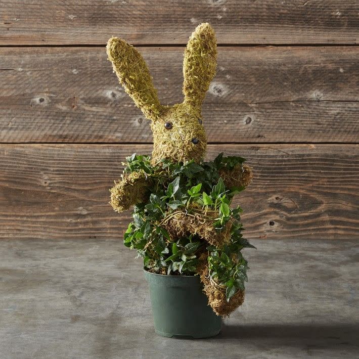 Potted Easter Bunny Ivy & Moss Topiary