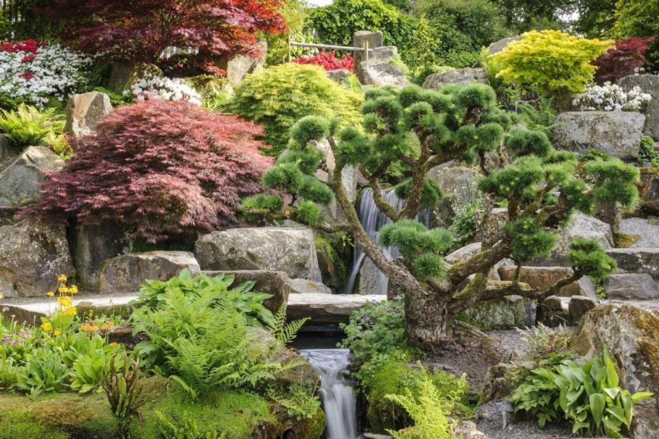 RHS Wisley rock garden (Jason Ingram)