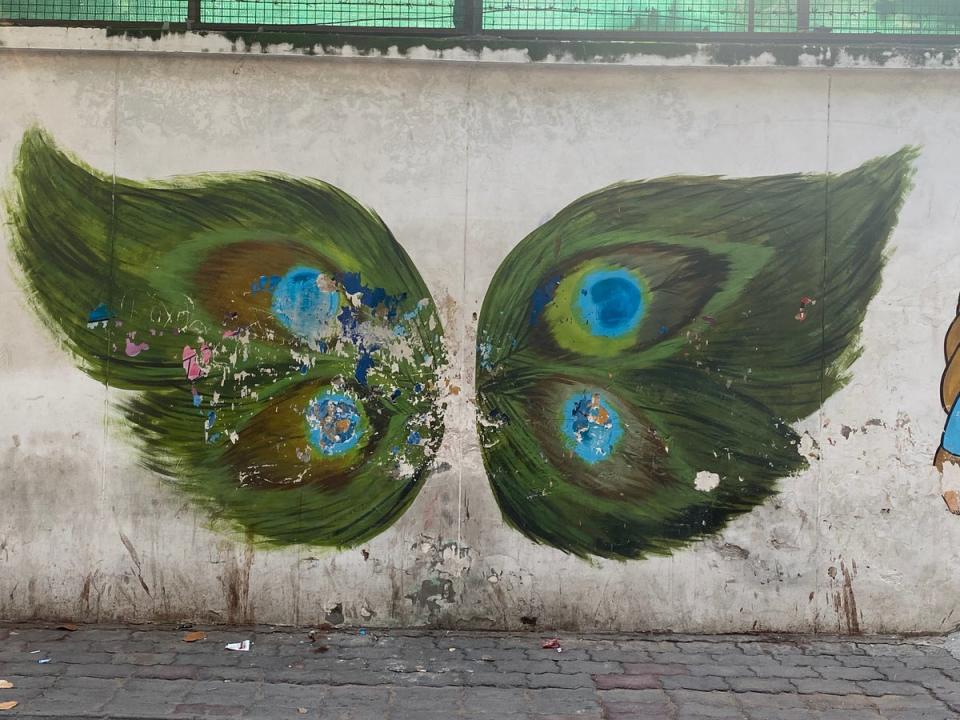 These peacock wings are one of the city’s most popular pieces of street art (Tamara Hinson)