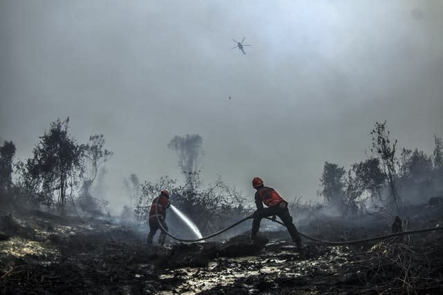 Firefighters in Riau province