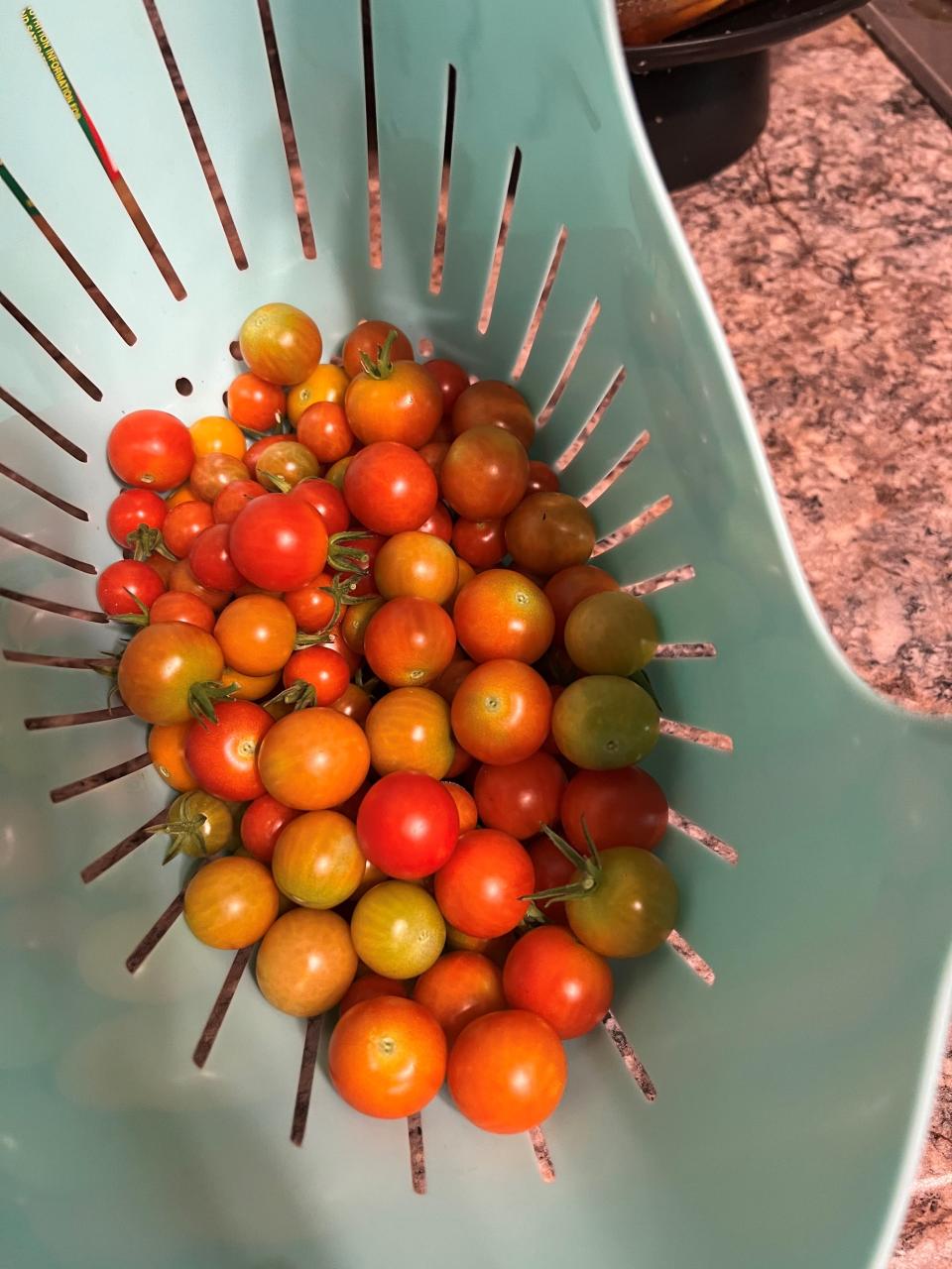 Enjoy the fruits of your labor when you plant kid-friendly edible plants!