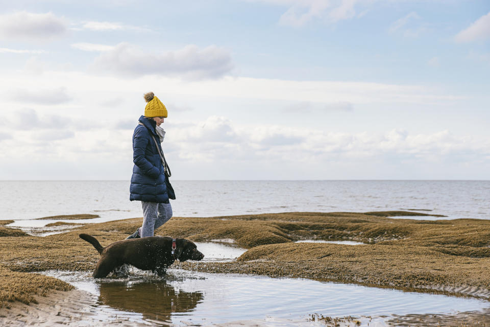 A woman walks a dog on the beach