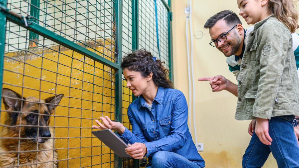 Family choosing dog in shelter