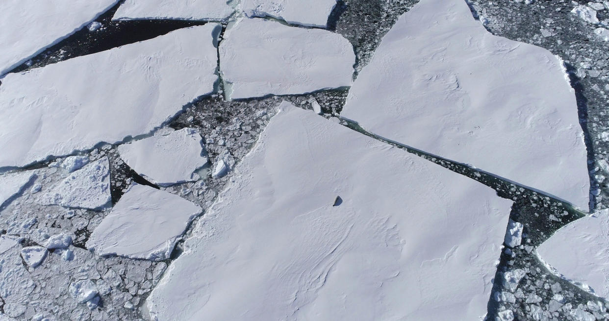 A lone seal on an ice floe in front of the Thwaites Eastern Ice Shelf in Antarctica in 2019. (Cover Images via Zuma Press)