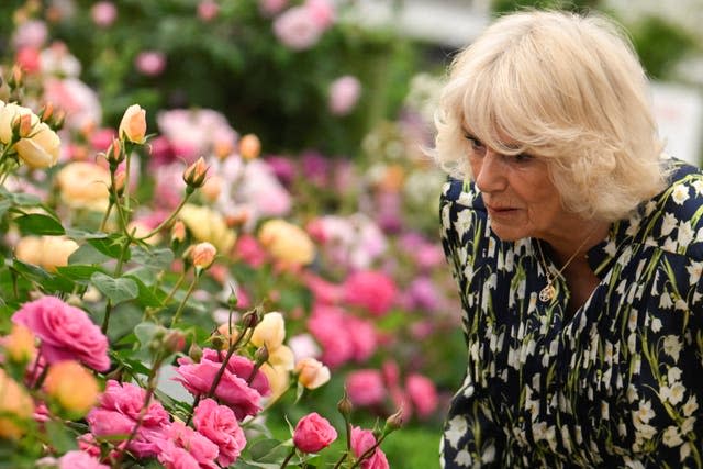 The Queen during a visit to the flower show