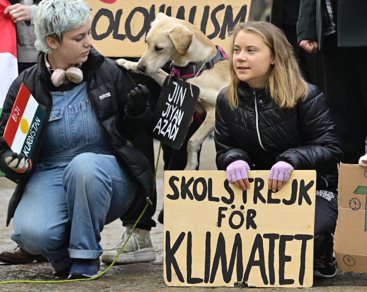 Greta Thunberg  (TT News Agency/AFP via Getty Images)