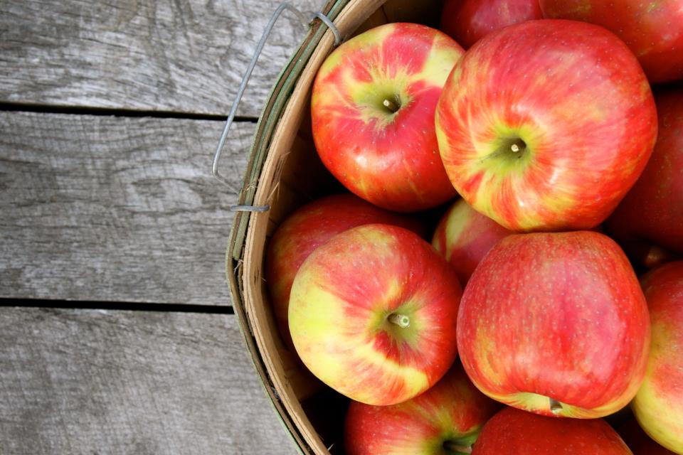 Michigan expected to produce another large apple crop in 2023.