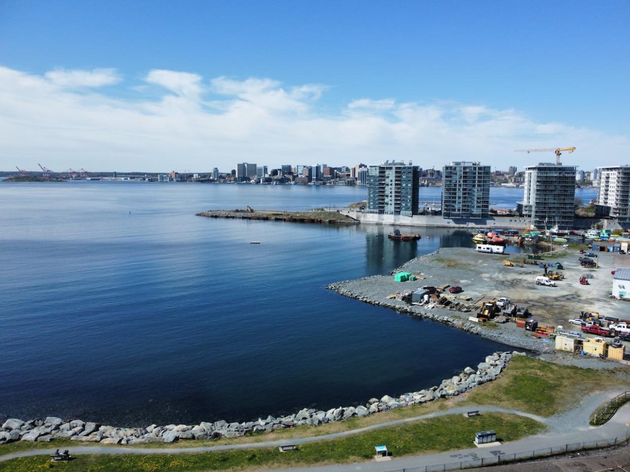 A drone shot of the area at Dartmouth Cove where infilling will take place.  (Steve Lawrence/CBC - image credit)