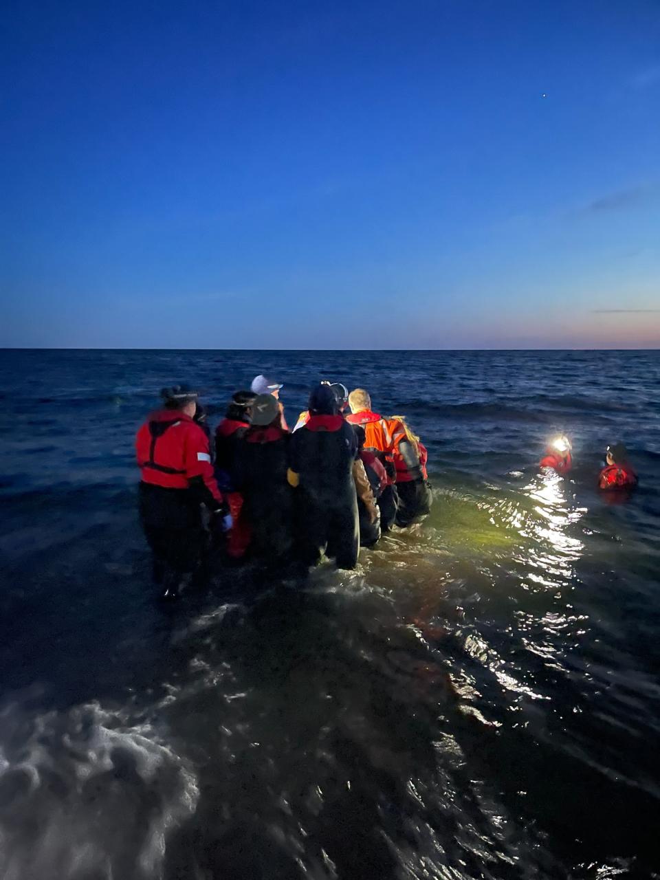 10 dolphins released into wild after seven-hour rescue effort