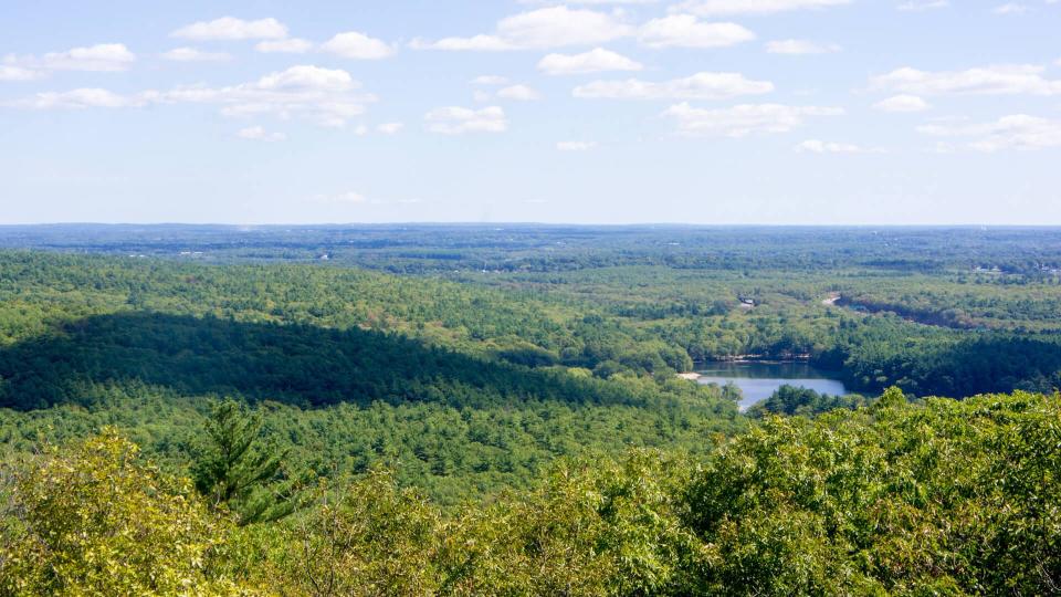 Houghton's pond from the top of Great Blue Hill, Milton ma - Image.