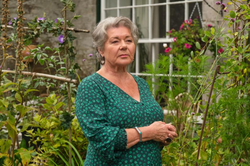 barbara flynn as anne lloyd, beyond paradise season 2