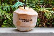 For rum runners, the Painkiller is The Alida's Club Cabana answer to the pina colada.