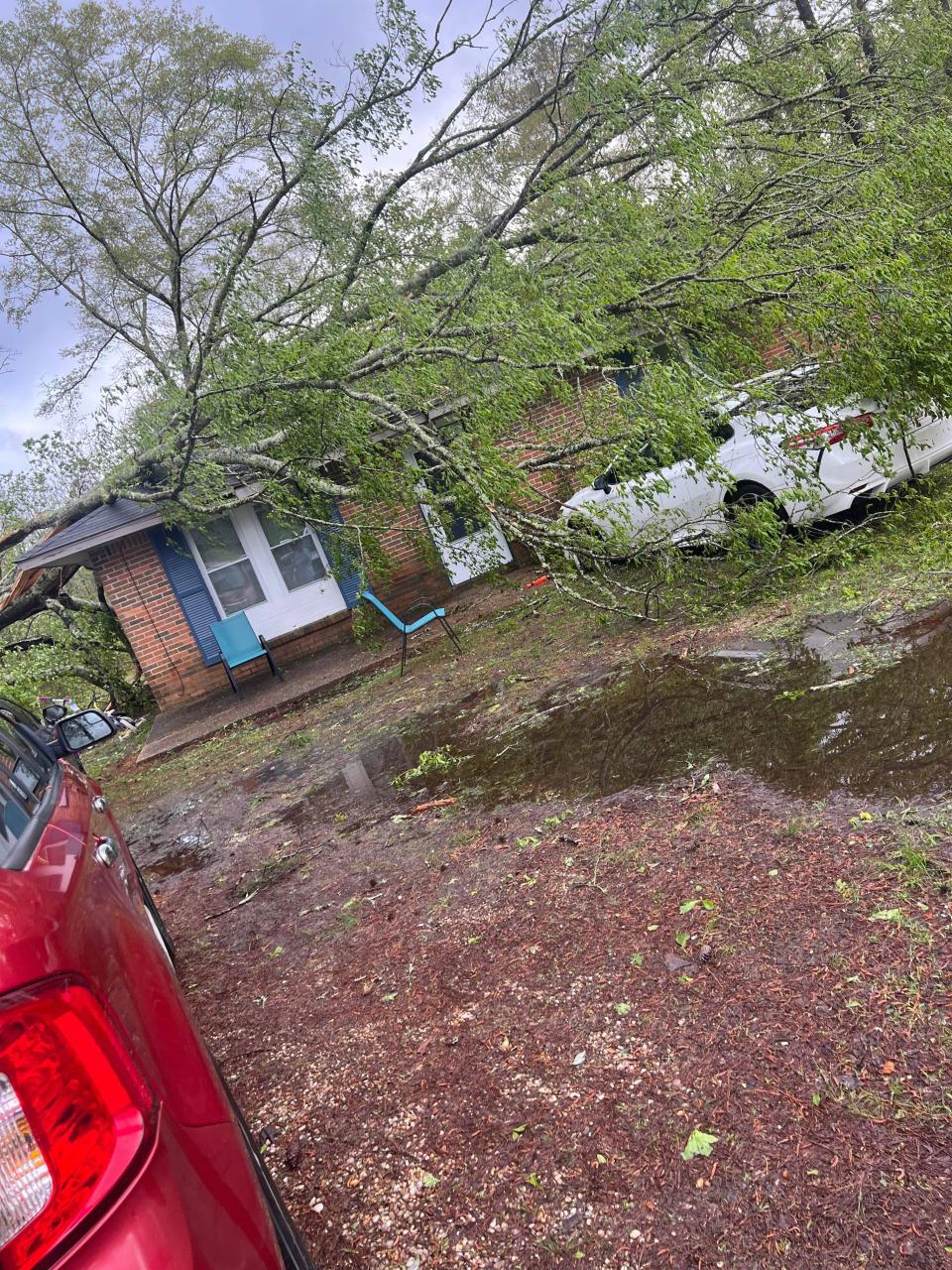 A tree destroyed part of Kristin Hand's home on Meadow Lane Drive in Elmore, Alabama, during late-night storms on March 26.