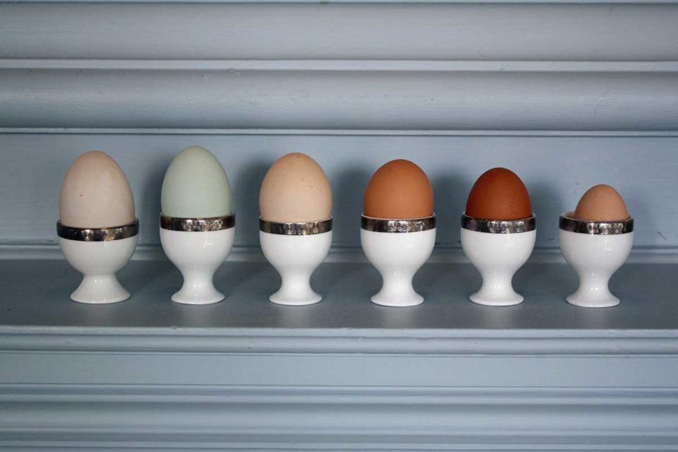 Selection of eggs available at Llangoed Hall