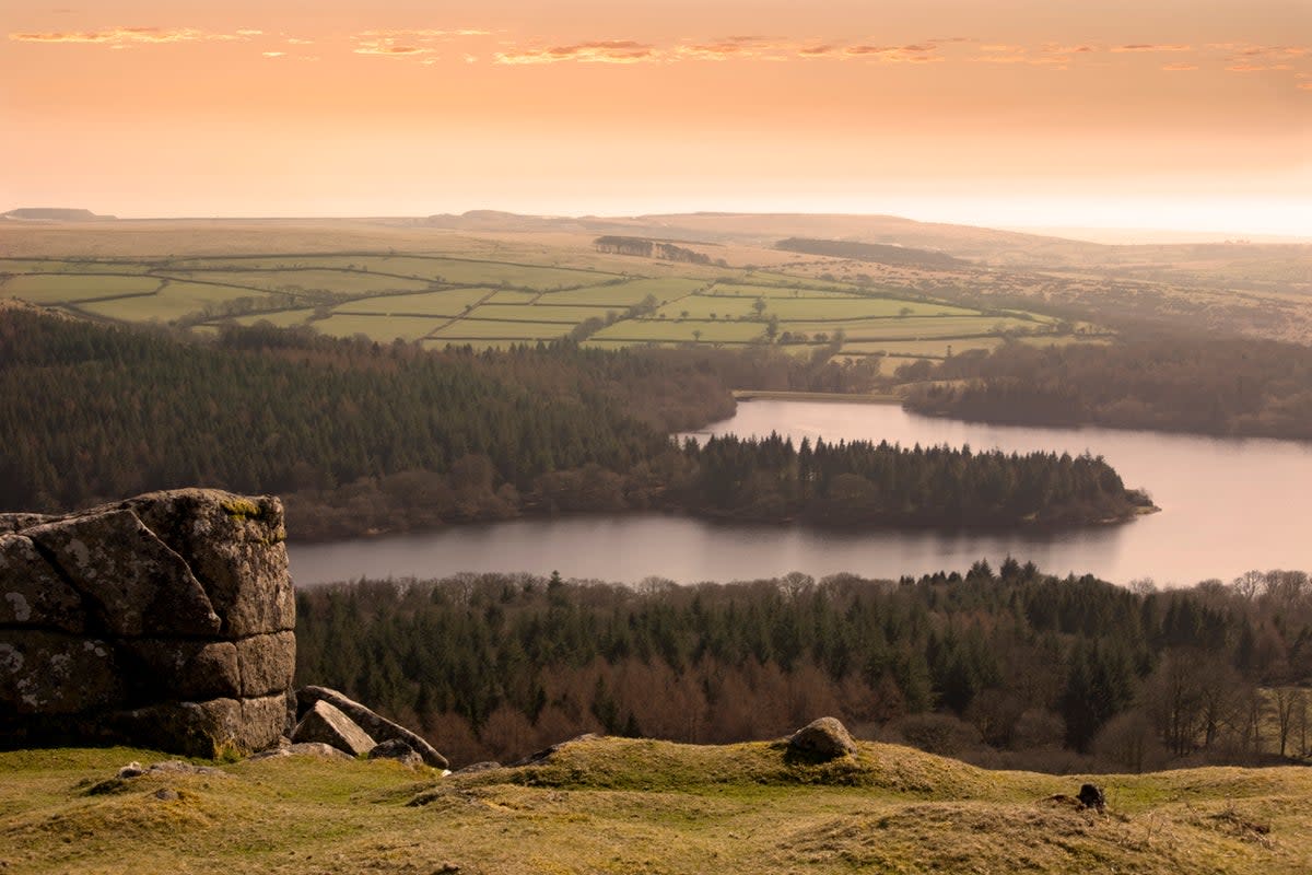 The autumn brings golden colours to Devon and its national parks (Getty Images)