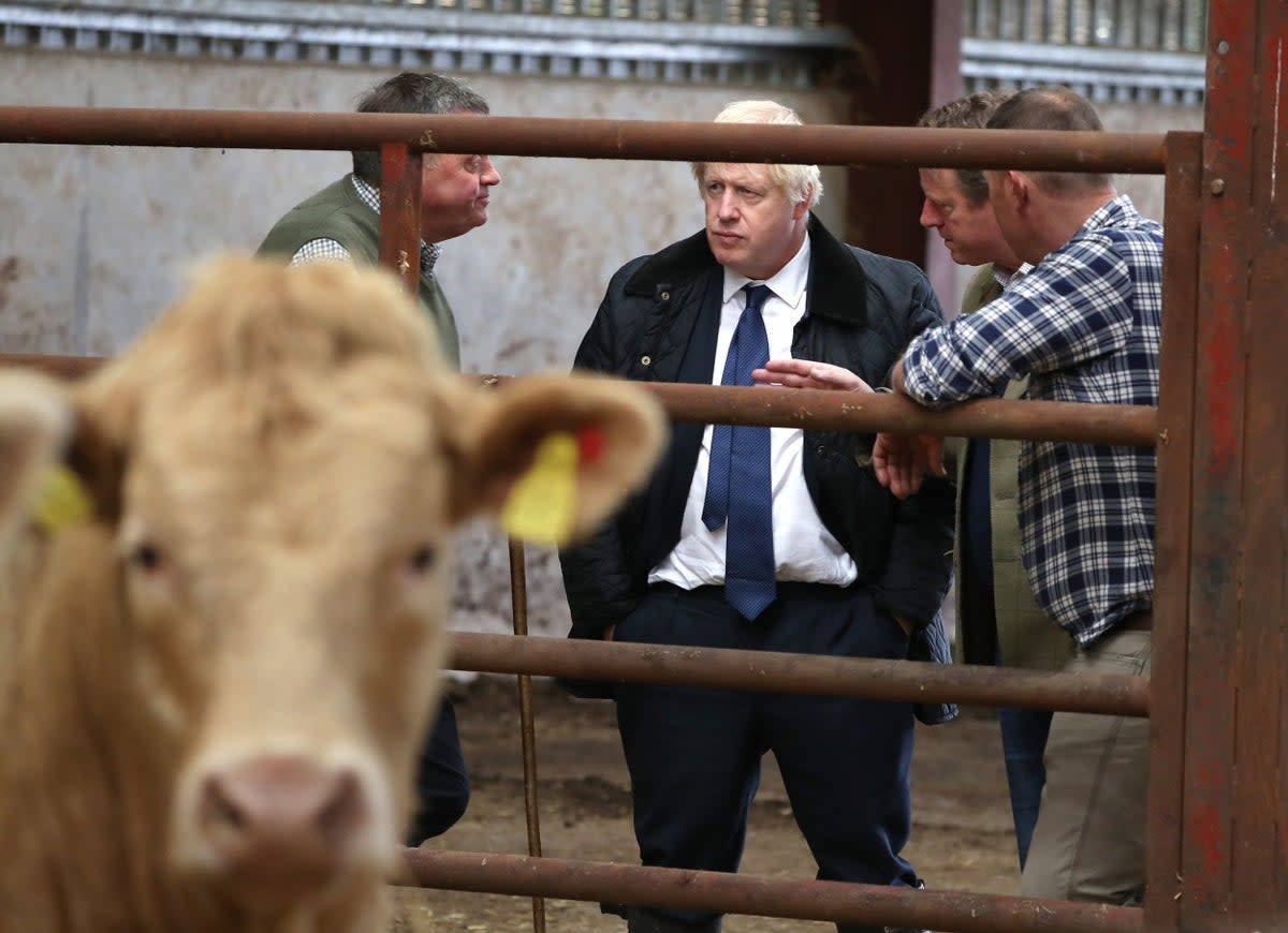 Boris Johnson had promised good deal for farmers after Brexit (PA)