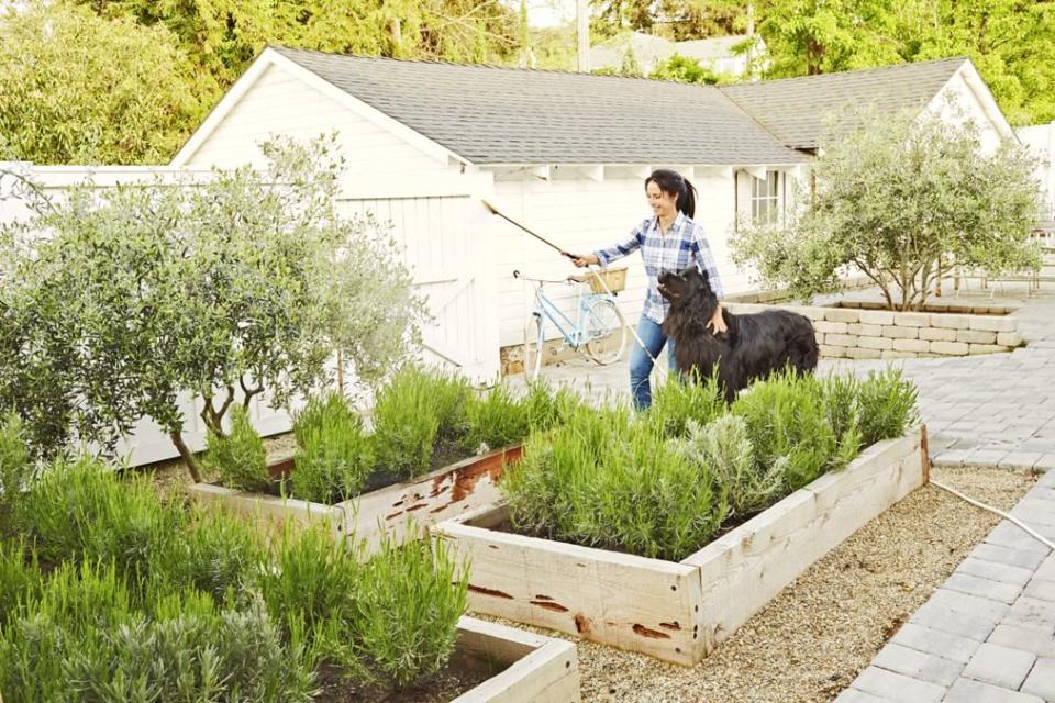 <p>A California family of seven transferred their affinity for white decorations outside the house, as well, which makes for an eye-catching garden bed contrast. </p><p><strong><a href="https://www.countryliving.com/gardening/garden-ideas/g19563223/raised-garden-beds/" rel="nofollow noopener" target="_blank" data-ylk="slk:Read more raised bed garden ideas;elm:context_link;itc:0;sec:content-canvas" class="link ">Read more raised bed garden ideas</a>.</strong></p><p><a class="link " href="https://www.amazon.com/COOLJOB-Garden-Gloves-Gardening-Working/dp/B07MLWK6MS/?tag=syn-yahoo-20&ascsubtag=%5Bartid%7C10050.g.1432%5Bsrc%7Cyahoo-us" rel="nofollow noopener" target="_blank" data-ylk="slk:SHOP GARDENING GLOVES;elm:context_link;itc:0;sec:content-canvas">SHOP GARDENING GLOVES </a></p>