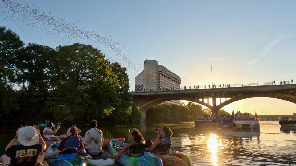 People watch as a stream of bats emerges from under the South Congress Bridge in Austin.  / Credit: CBS News