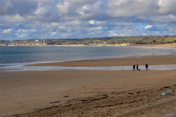 Dogs poisoned on Long Rock beach in Cornwall, family wants justice for pet killed