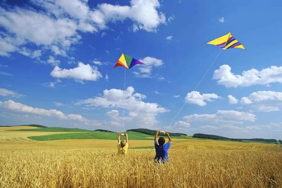 15) Kites fly high in Bermuda.