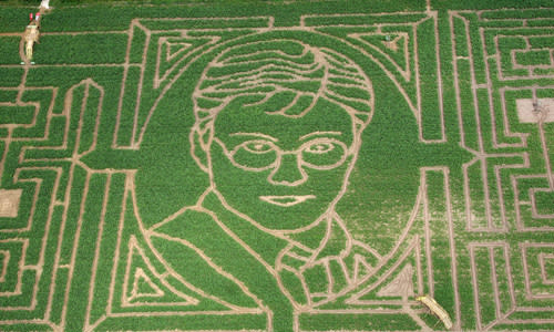 Harry Potter maze