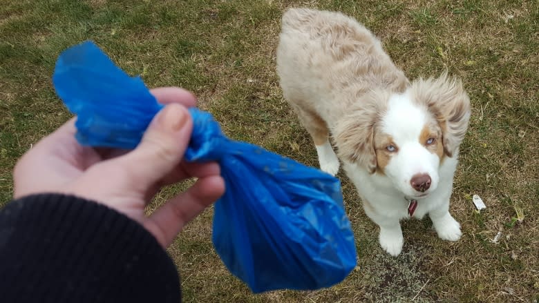 Allowing plastic bags, dog waste won't do the job, group says