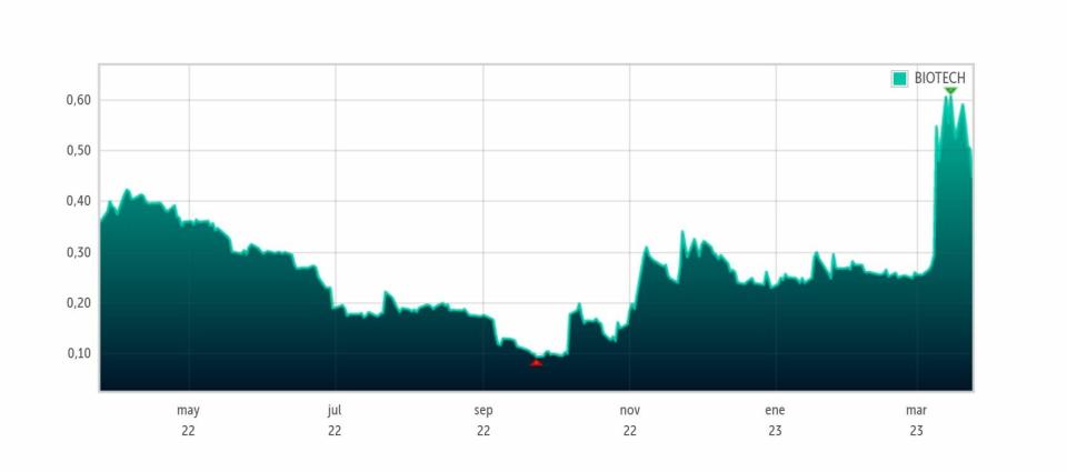 Biotechnology Assets evolución de su cotización en el último año 