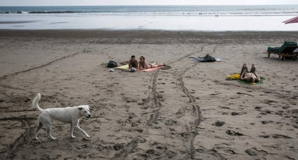 Bezpański pies spaceruje z plażowiczami po plaży Legian na Bali