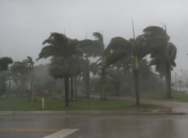 Winds whipped through trees in the City of Palms during Hurricane Irma in 2017.  Since then, improvements have been made to communications during a big storm.