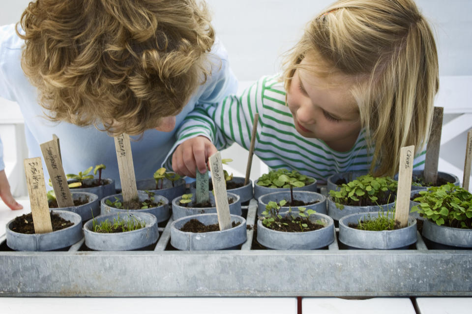 Getting kids into gardening doesn't have to involve big spaces. (Getty Images)