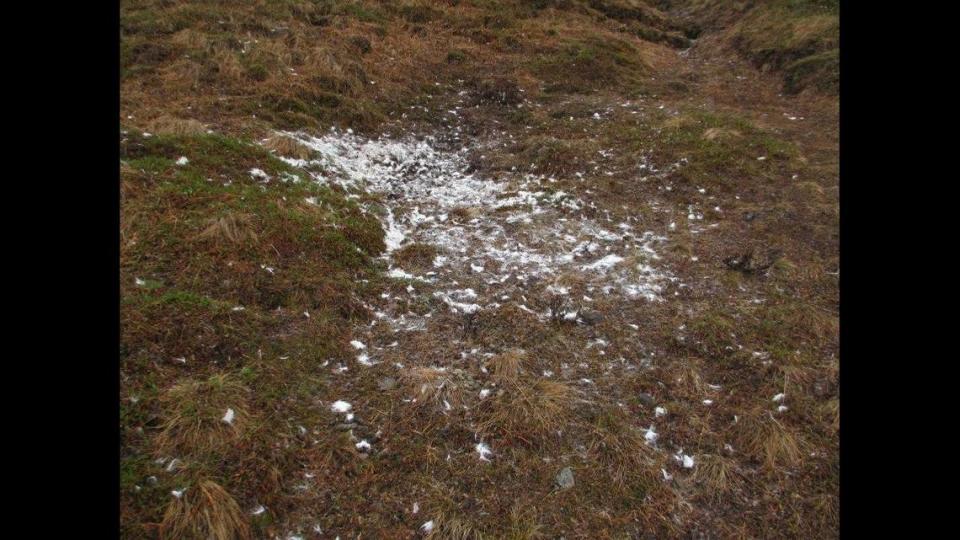 What caused this white patch on the side of a mountain in Alaska? The National Park Service asked the public to take a guess. 