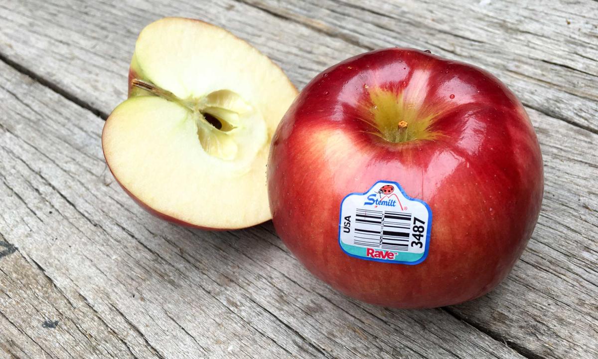 Move over, Honeycrisp: New Cosmic Crisp apple to debut at grocery stores -  Los Angeles Times