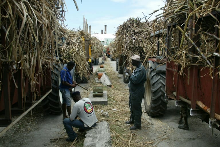 Des remorques pleines de canne à sucre devant la sucrerie de Grand-Anse à Grand Bourg sur l'île de Marie-Galante en Guadeloupe, le 12 Avril 2007 (MARCEL MOCHET)