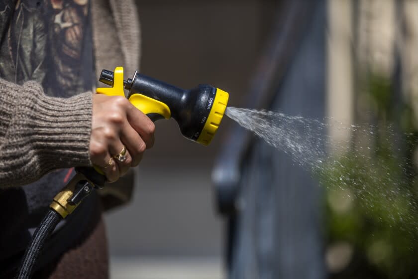 WATERING LAWN, CA - APRIL 30: Alicia De Mello waters her front yard in in South Pasadena at on Saturday, April 30, 2022. She said she recently plants native drought resestant native plants in her front yard. (Francine Orr / Los Angeles Times)