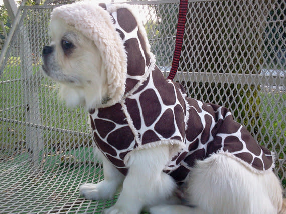 Giraffe Camouflage Hoodie Vest