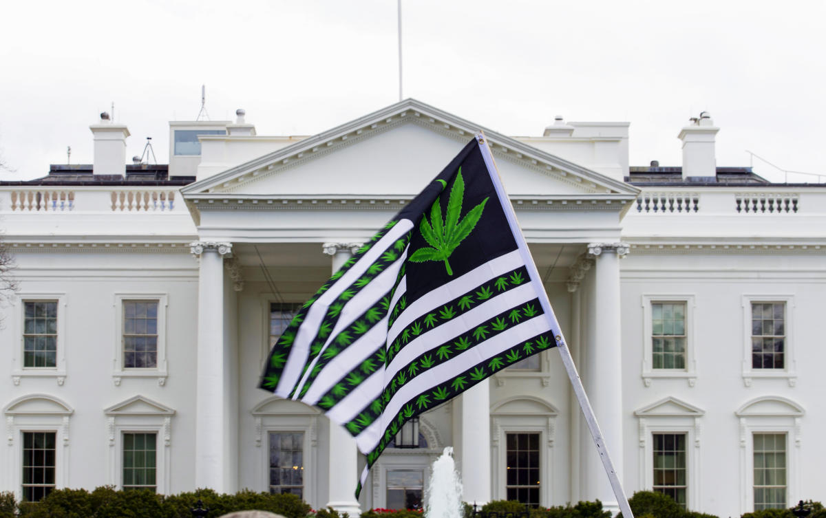 Americans want legal weed and we ‘need to be positioned for it’