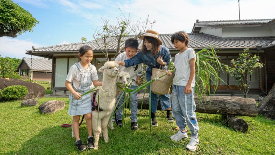 宜蘭綠舞國際觀光飯店近期進駐新動物，升級為「動物體驗飯店」。（圖／翻攝自綠舞國際觀光飯店官網）