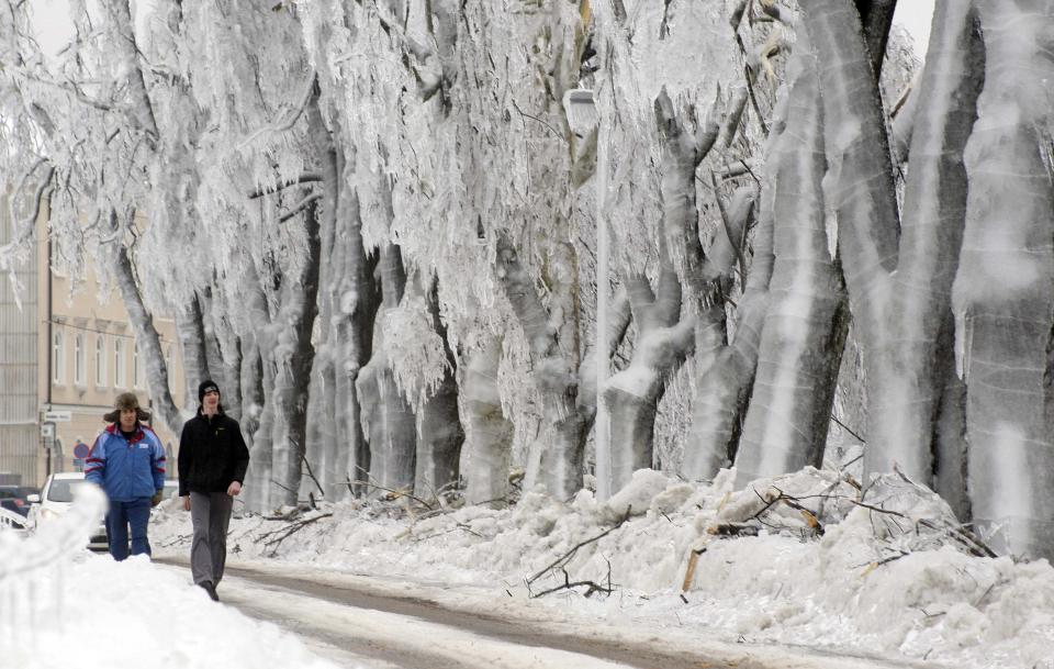 Two men walk next to ice covered trees in Postojna