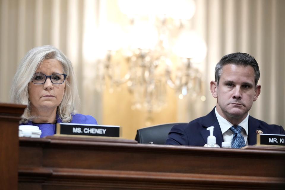 Liz Cheney, Adam Kinzinger