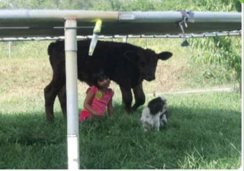 Ema Cardenas when she was around 2 at her uncle's farm in Winterset. She is remembered as kind, gentle, and someone who loved animals.