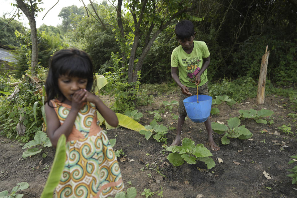 Kavishka Madushan, right, waters vegetable plants cultivated at the backyard of their house as his in sister Sulochana Madushani bites a sugar cane at Mahadamana village in Dimbulagala, about 200 kilometres northeast of Colombo, Sri Lanka, Sunday, Dec. 11, 2022. Due to Sri Lanka's current economic crisis families across the nation have been forced to cut back on food and other vital items because of shortages of money and high inflation. Many families say that they can barely manage one or two meals a day. (AP Photo/Eranga Jayawardena)