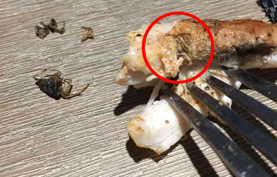 The mum says her boy had chewed on a dead spider that was ‘tucked’ underneath one of the chicken fillets. Source: Fiona McKinnon/Facebook