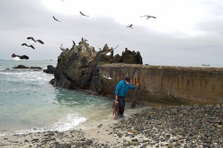 Fotos del día; minería; Dominga; la Higuera; Chile; el mundo;Medio Ambiente;  Humboldt